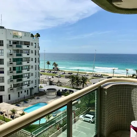 Ninho De Gaivotas Na Barra Da Tijuca